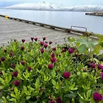 1. Etg I Dampskipsbrygga, Havn Apartamento *