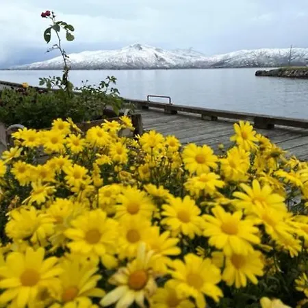 Apartmán 1. Etg I Dampskipsbrygga, Havn