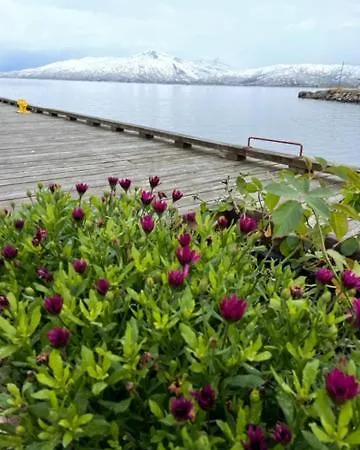 1. Etg I Dampskipsbrygga, Havn Apartmán *