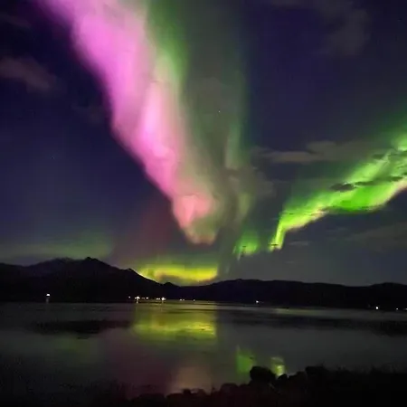 1. Etg I Dampskipsbrygga, Havn * Lodingen