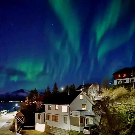 1. Etg I Dampskipsbrygga, Havn Appartement Lodingen