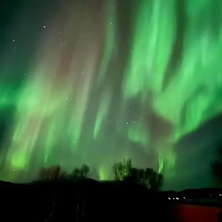 1. Etg I Dampskipsbrygga, Havn * Lodingen