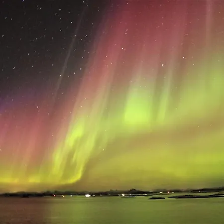 1. Etg I Dampskipsbrygga, Havn * Lodingen