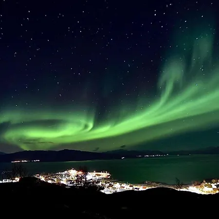 1. etg i Dampskipsbrygga, Lødingen havn *