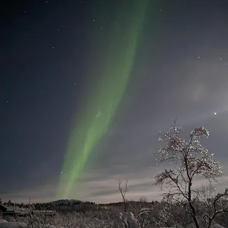 1. Etg I Dampskipsbrygga, Havn *